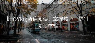 糖心Vlog两遍阅读：掌握核心，提升阅读体验