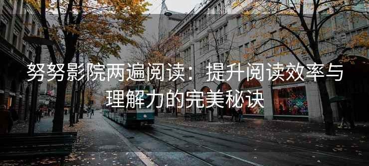 努努影院两遍阅读：提升阅读效率与理解力的完美秘诀