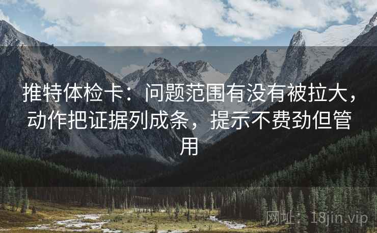 推特体检卡：问题范围有没有被拉大，动作把证据列成条，提示不费劲但管用